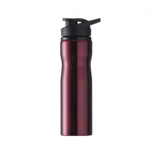 Squeeze 750Ml Inox Personalizado